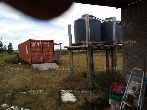 Imagen 10 de 19 de Chacra En Venta De 5 Hectáreas Con Tajamar Y Casa - San Carlos San Carlos
