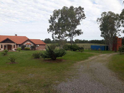 Venta Chacra Permuta Colonia Montevideo Punta Del Este Buenos Aires