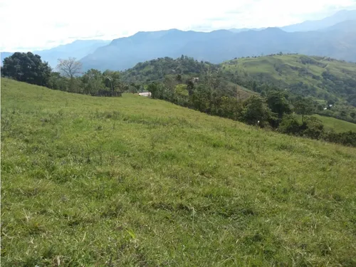 Vendo Finca Ganadera Cerca A La Cabecera De Armenia Mantequilla Ant.