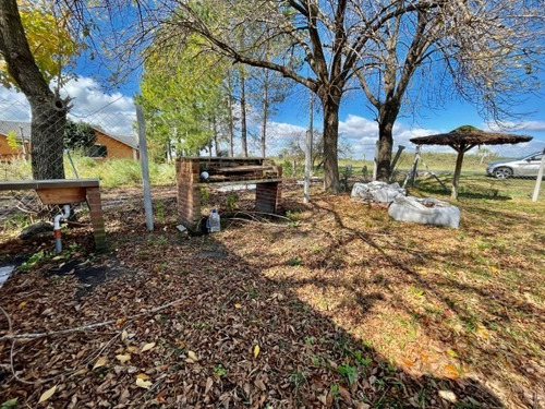 Imagen 4 de 30 de Complejo De Cabanas, Con Pileta, Lote 2000mts2, (gualeguaychu)