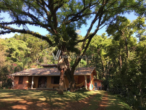 Imagem 4 de 18 de Chácara À Venda Em Morro Das Pedras - Ch290006