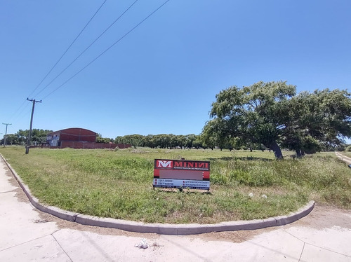 Gran Loteo En San Bernardo, Sobre Colectora!