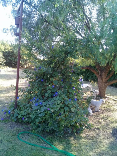 Imagen 15 de 30 de Casa Con Campo 7 Hectareas San Esteban Cordoba