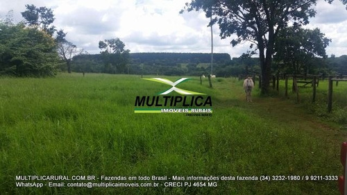 Imagem 7 de 15 de Fazenda Uberlândia Mg Para Pecuária Ou Soja, Milho 82,03 Hectares - 358