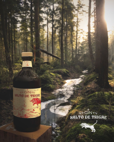 Gin Salto De Tigre Artesanal Organico 500cc Fabrica Beney X6