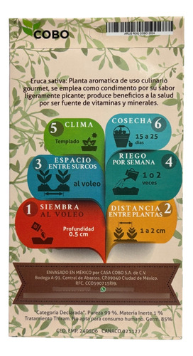 Semillas De Arúgula Para Cultivo
