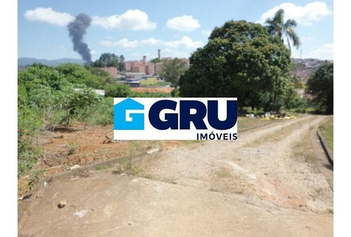 Imagem 2 de 9 de Área 10.000 Localizada No Bonsucesso