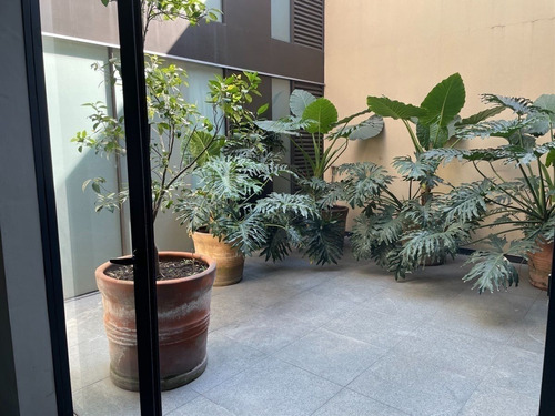 Increíble Garden House En Renta En Polanco
