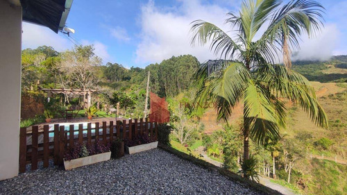 Imagem 6 de 30 de Chácara Com 3 Dormitórios À Venda, 14500 M² Por R$ 1.200.000,00 - Tabuleiro - Camboriú/sc - Ch0005