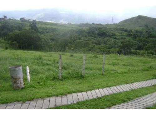 Imagen 3 de 5 de Terreno Aldea Pericos.