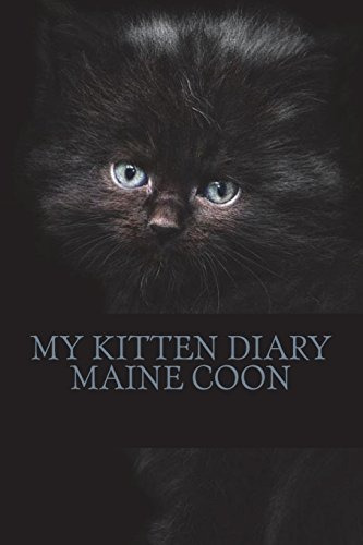 My Kitten Diary Maine Coon