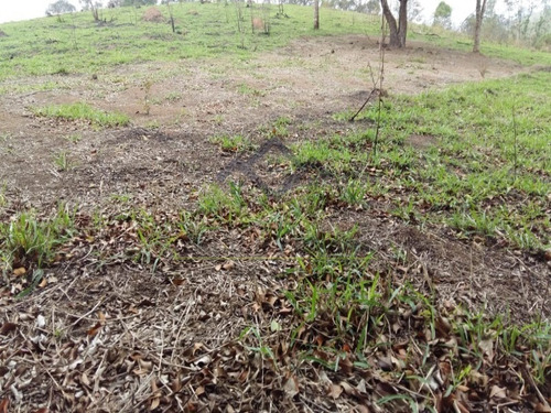 Imagem 10 de 12 de Área 21.500m² Santa Isabel-sp - Ar00016 - 71000382