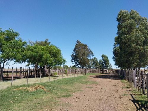 Excelente Estancia Ganadera 2881 Hectareas