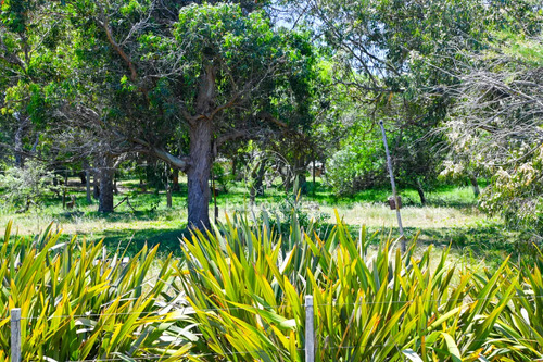 Camping Las Flores. A Metros Del Mar, Y De Todos Los Servicios.