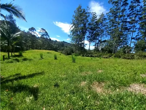 Lote Para Arriendo Via Don Diego Llanorande Perfecto Para Comercio