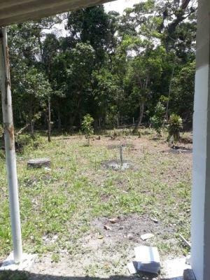 Imagem 9 de 14 de Chácara Com 1 Dormitório E 2 Mil Metros Em Itanhaém Litoral