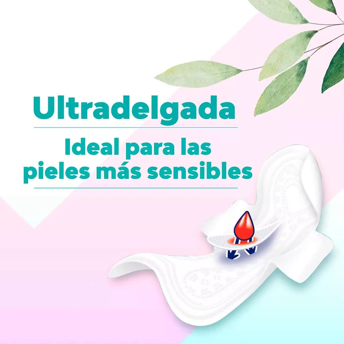 Primera imagen para búsqueda de saba ultra delgada