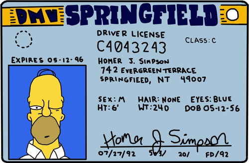 Homero Simpson Licencia De Conducir Chapa Apto Exterior