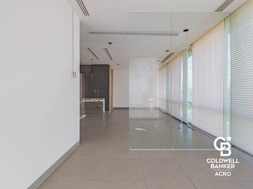 Imagen 7 de 14 de Oficina En Renta, Colonia Jardines Del Pedregal,edificio Aaa