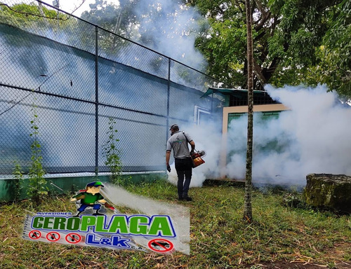Imagen 3 de 5 de Servicio De Fumigacion Chiripas Cucarachas Termitas Pulgas
