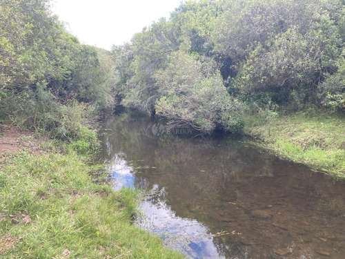 Imagen 8 de 21 de Venta Chacra Sierra Ruta 39 Aigua Sierra De Los Caracoles Maldonado