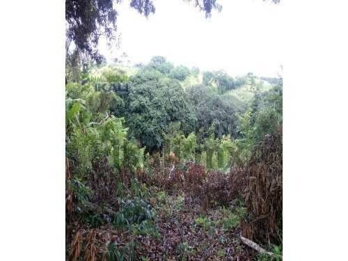 Imagen 8 de 11 de Terreno En Venta Carr. Costera Del Golfo Km. 149.5 Catemaco Veracruz 5000 M². Puede Fraccionarse Dependiendo De Las Necesidades Del Interesado,el Precio Por Metro Cuadrado Es De $500.00 Pesos. Está U