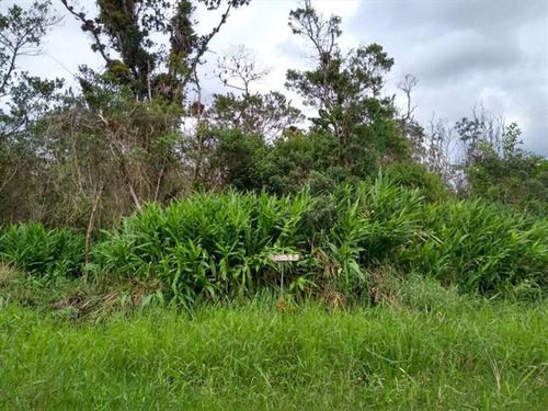 Imagem 3 de 8 de Terrenos Parcelados Em Itanhaem