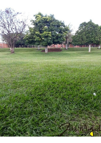Chacara Jardim Dos Coqueiros, Ch00013, Catanduva, Joao Miguel Corretor De Imoveis, Venda De Imoveis - Ch00013 - 69011272