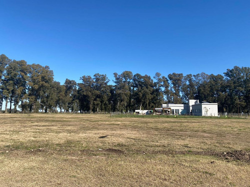 Imagen 4 de 18 de Lote De 1000m2 En Club De Campo Los Tres Pinos - Barrio Isla - General Rodríguez