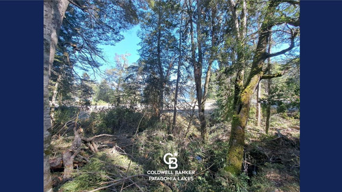 Imagen 6 de 15 de Venta Lote/terreno 3874 M2 Barrio Bandurrias Vista Al Lago Excelente Ubicación Villa La Angostura