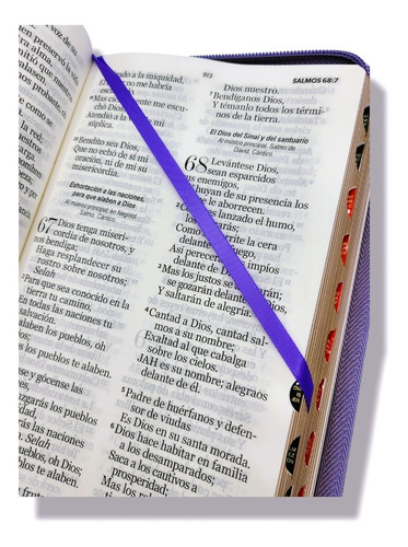 Imagen 4 de 9 de Biblia Rvr60 Letra Gigante 14pt Lila Mariposa Cierre Indices