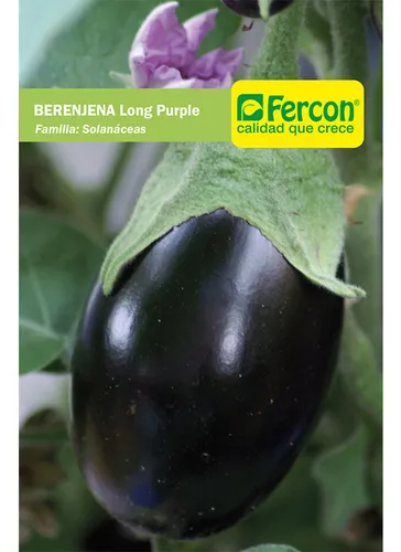 Semillas De Berenjena 100gr.
