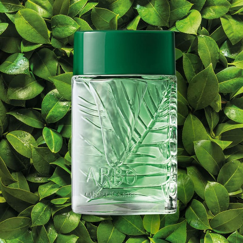 O Boticário Perfume Masculino Boticollection Connexion Colônia 100ml + Arbo Botanic Colônia 100ml Marido Pai