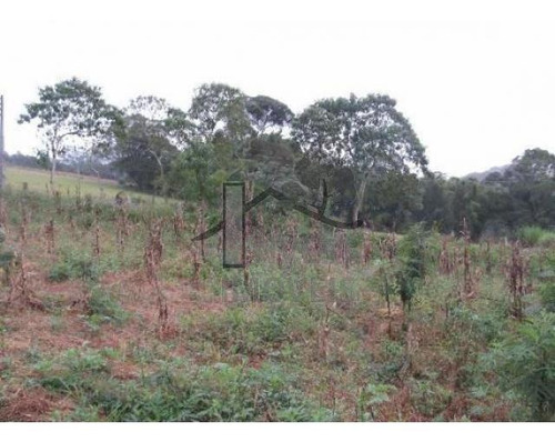 Imagem 1 de 3 de Cód 1641 - Ótimo Terreno De 1.028 M² Com Excelente Localizaç - 1641