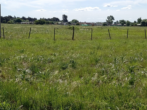 Terreno - Arroyo De La Cruz