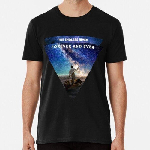 Remera Pink Floyd The Endless River Algodon Premium