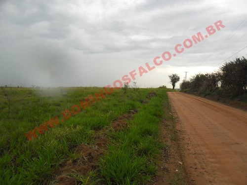 Imagem 6 de 14 de Venda - Área - Zona Rural - Nova Odessa - Sp - D7830