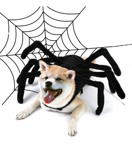 Pet Halloween Truco Gran Araña Pecho Espalda