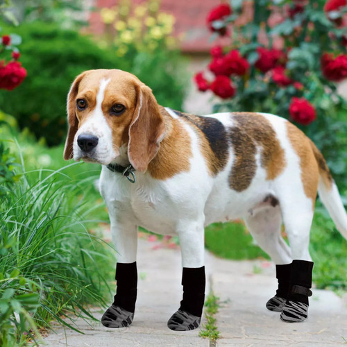 Calcetines Perros Con Garras Protección Antideslizante Patas