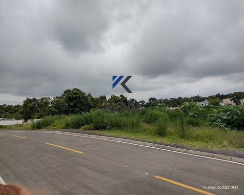 Imagem 5 de 14 de Terreno A Venda Em Araucária Pr - Te00016 - 70661808