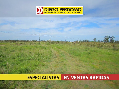 Imagen 6 de 9 de Chacra De 5 Ha En Venta. Ciudad Del Plata