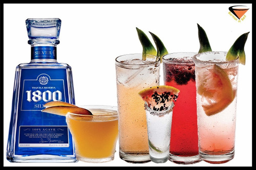 Imagen 5 de 6 de Tequila 1800 Silver Reserva 750ml Origen Mexico