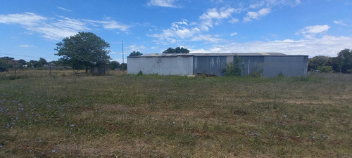 Imagen 8 de 11 de 160 E/67 Y 68 - Lote C/ Galpón - Baum Propiedades