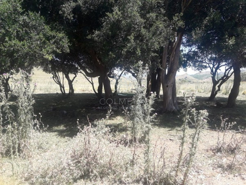 Imagen 9 de 14 de Campo Cerca De La Ruta 12 Y Ruta 60 - Minas