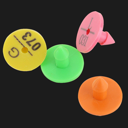 100 Piezas De Oreja Tarjeta De Identificación Anticaída