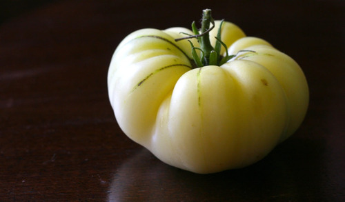 10 Semillas Frescas De Tomate Great White Gigante Branco