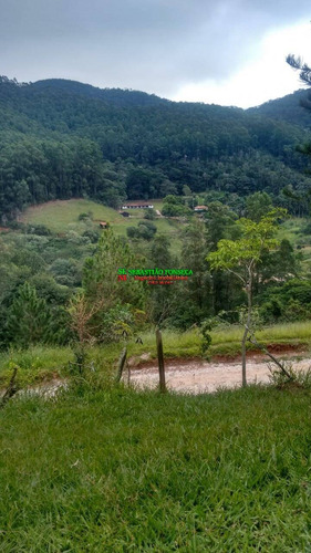 Sitio 30 Mil M² Rico Em Água Em Redenção Da Serra - 1872