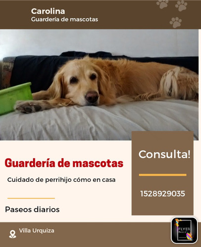 Imagen 1 de 10 de Guardería De Mascotas Guardería Canina Cuidado De Perros