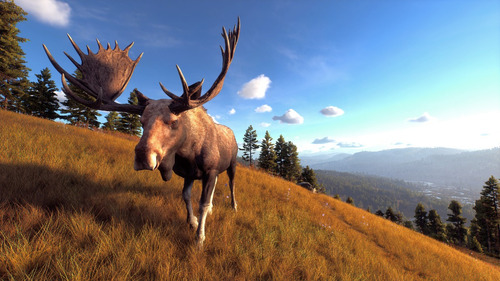 Way Of The Hunter | Pc | Steam | Original | Digital