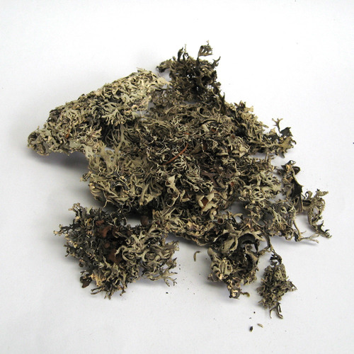 Pulmonaria 1kg Producto Herbal Para Te O Infusion